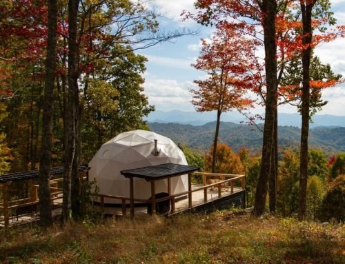 Timeless Dome